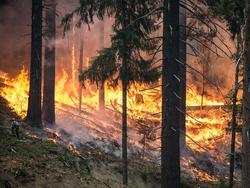 Risque très sévère de feux d’espaces naturels dans l’Eure : le préfet appelle à la vigilance de tous