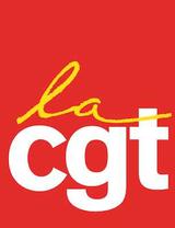 CGT_Pantone_Rectangle_Logo